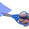 imageWestcott 41218 All Purpose Preferred Stainless Steel Scissors 8Inch BlueSingle